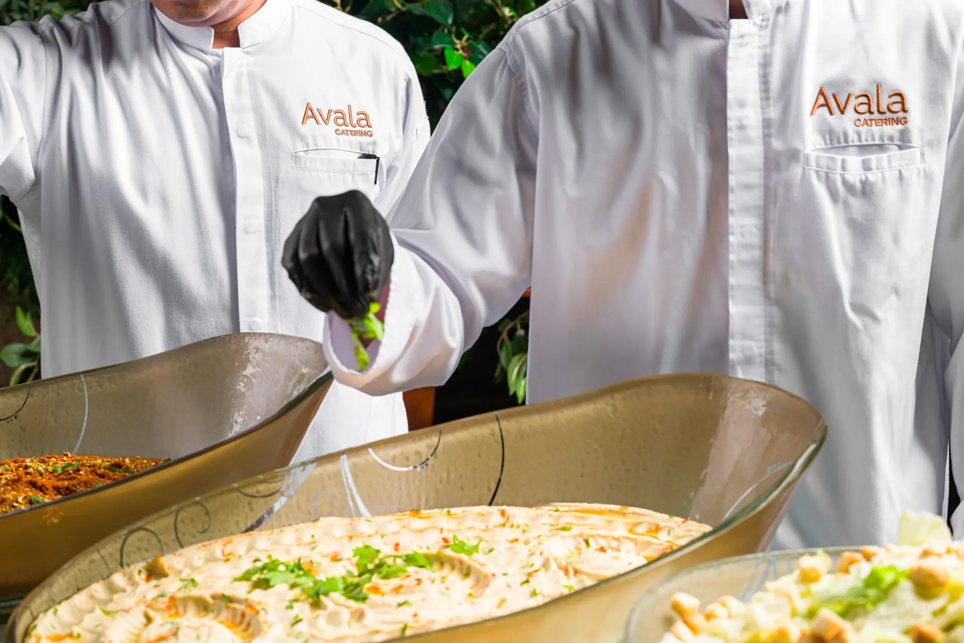 Avala Catering