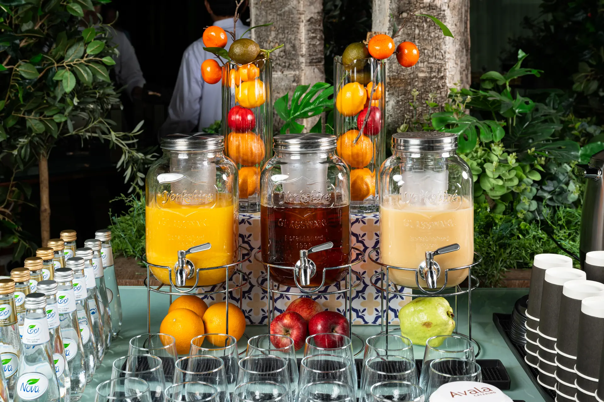 Avala Catering