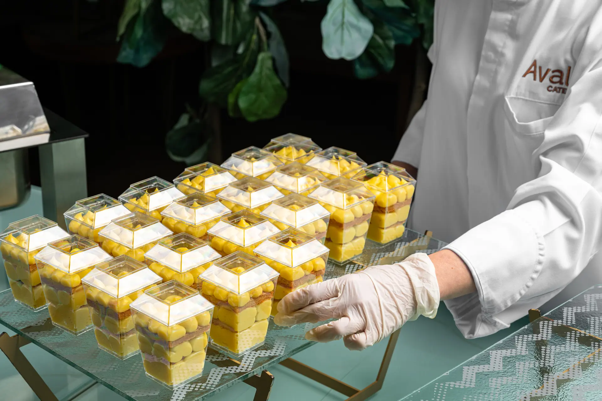 Avala Catering